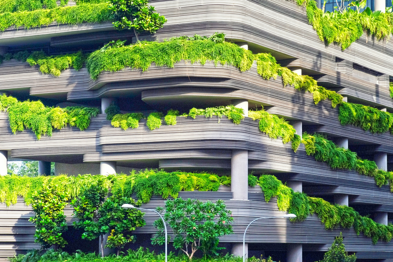 Diseño sostenible para oficinas y locales: productividad y compromiso ambiental